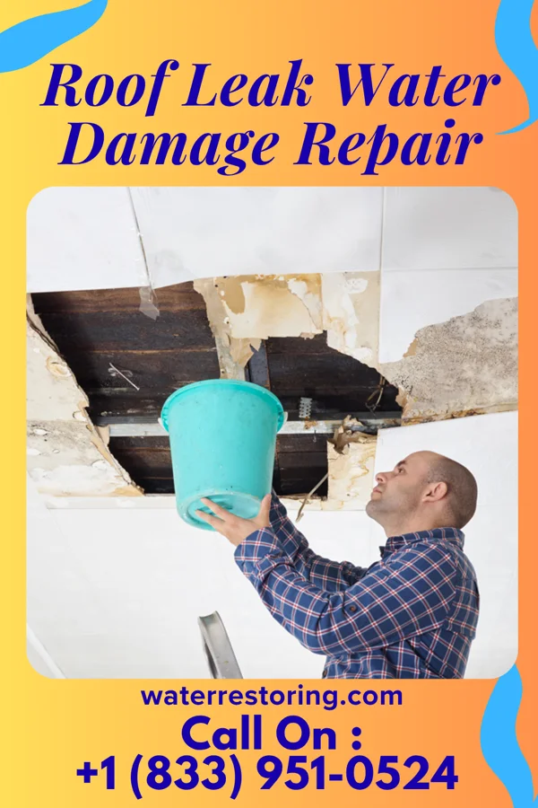 Roof Leak Water Damage Repair in Eastview, TN