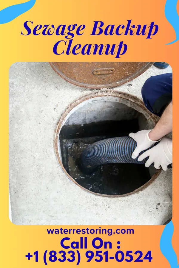 Sewage Backup Cleanup in Eastview, TN