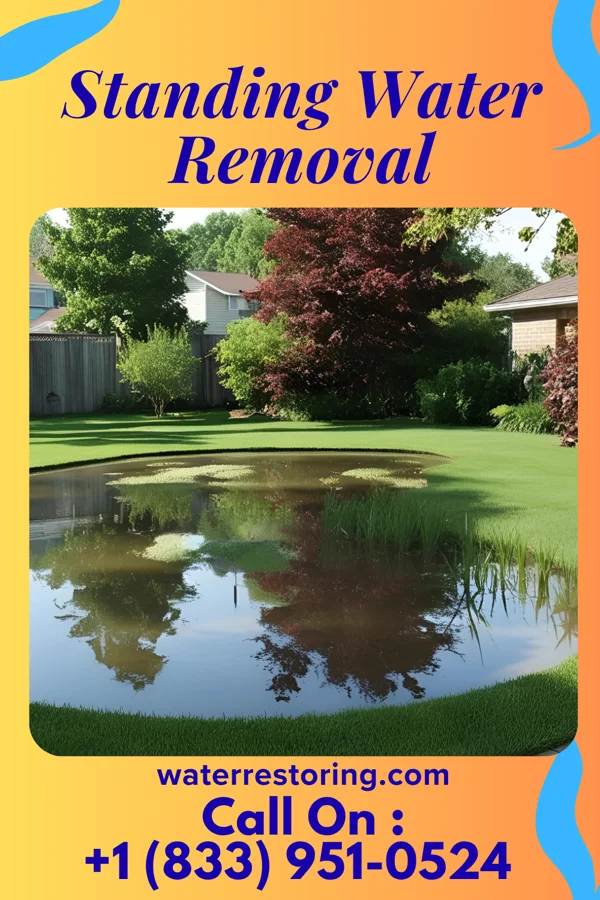 Standing Water Removal in Eastview, TN